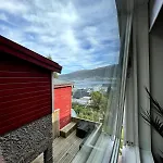 Daire Arctic Aurora