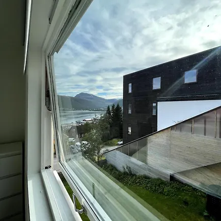 Arctic Aurora Tromsø