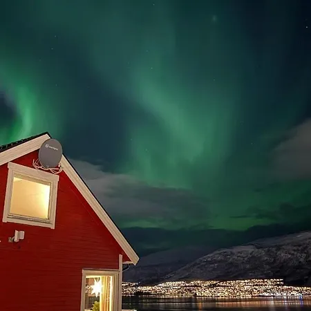 Arctic Aurora * Tromso