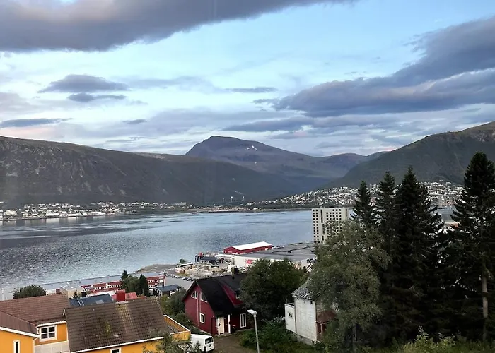 Arctic Aurora Tromso